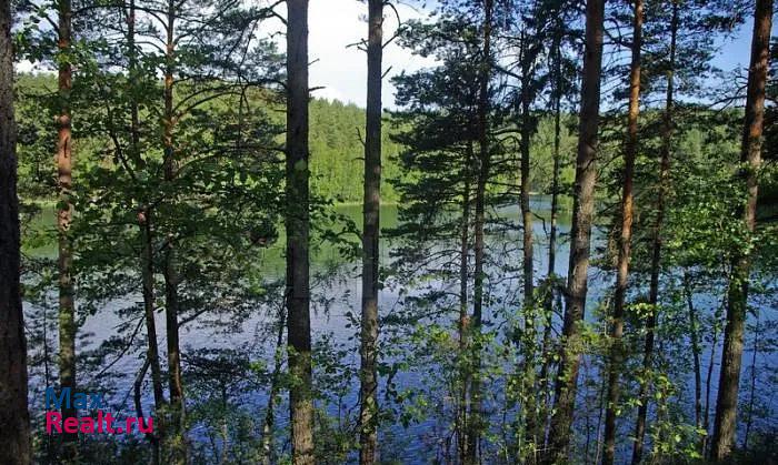 Каменка Приморское городское поселение, деревня Камышовка продажа частного дома