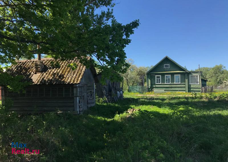 Парфино Федорковское сельское поселение, деревня Березицко, Береговая улица продажа частного дома