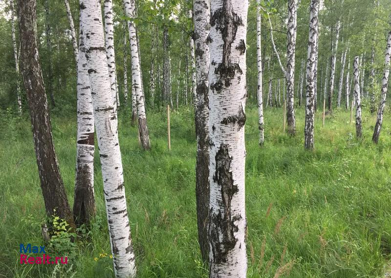 Тюмень СНТ Тополя, 8-я улица дом