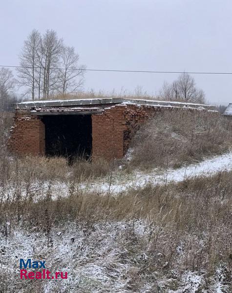 Сигаево Удмуртская Республика, деревня Шадрино продажа частного дома