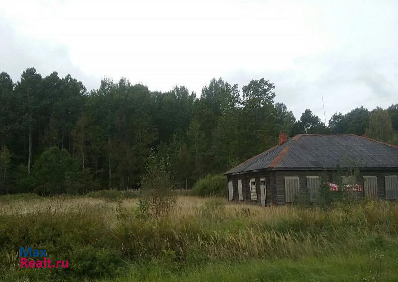 Пушкинские Горы Пушкиногорский район, д.Новгородка, д.б /н продажа частного дома