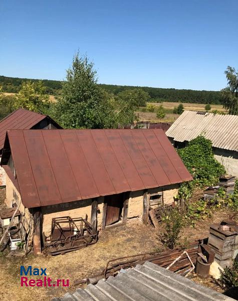 Сатинка Сампурский район, село Сампур, Набережная улица, 3 продажа частного дома