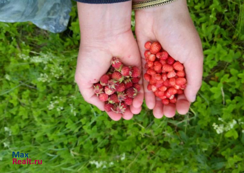 Суксун село Ключи, улица Золина продажа частного дома