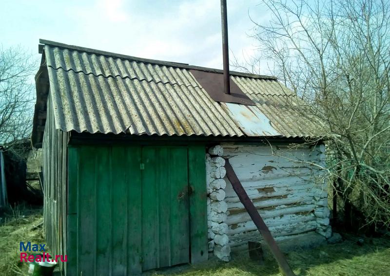 Маслянино деревня Чупино продажа частного дома