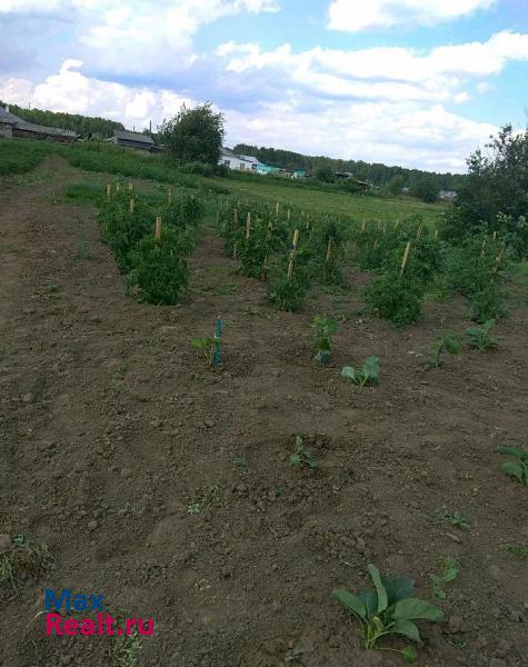 Мельниково Шегарский район, село Трубачево продажа частного дома