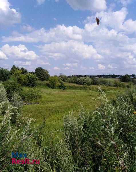 Воротынец село Семьяны, Комсомольская улица продажа частного дома