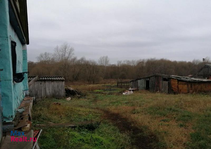 Каменка село Александровка, Райская улица продажа частного дома