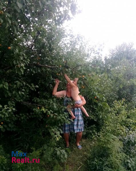 Быково село Солдатско-Степное продажа частного дома