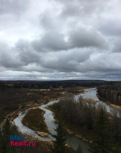 Шамары Пермский край, село Молёбка продажа частного дома