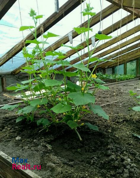 Старовеличковская село Гришковское продажа частного дома