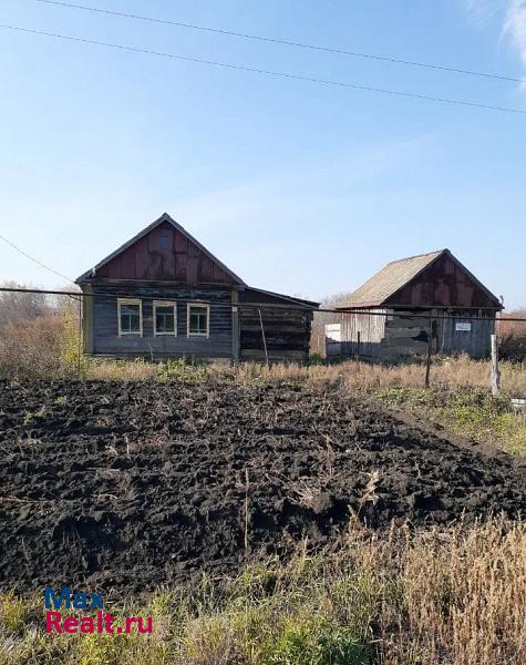 Мокшан сельское поселение Нечаевский сельсовет, село Нечаевка, Пролетарская улица продажа частного дома