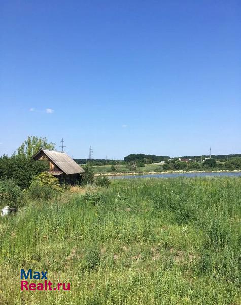 Курск Камышинский сельсовет, деревня Каменево