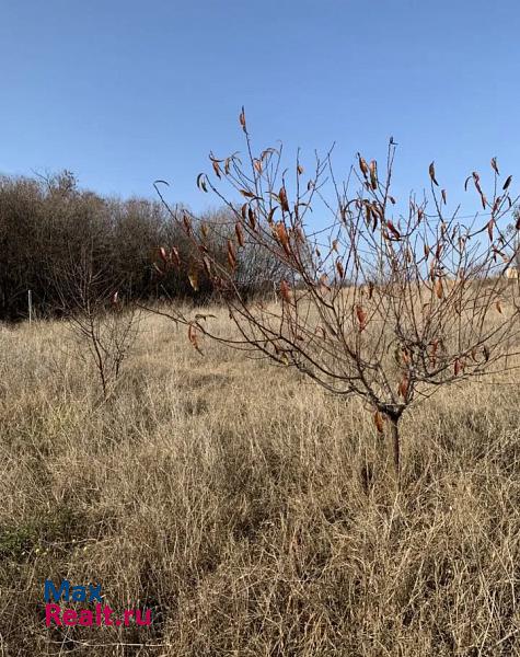 Севастополь Нахимовский район, Качинский муниципальный округ