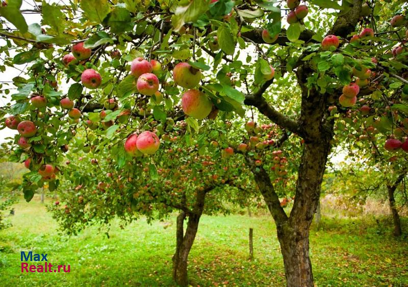 купить частный дом Старый Оскол село Курское