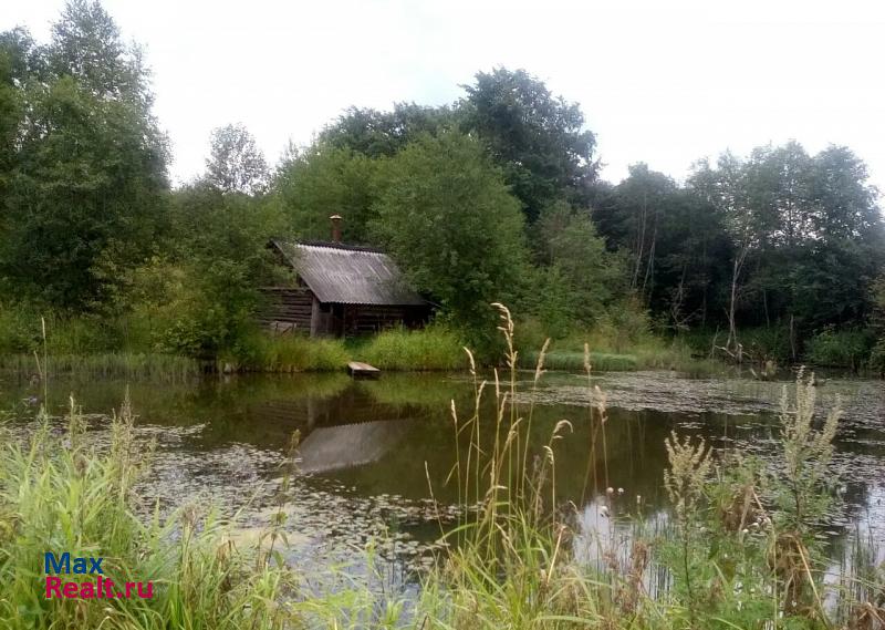 Демянск деревня Копейник