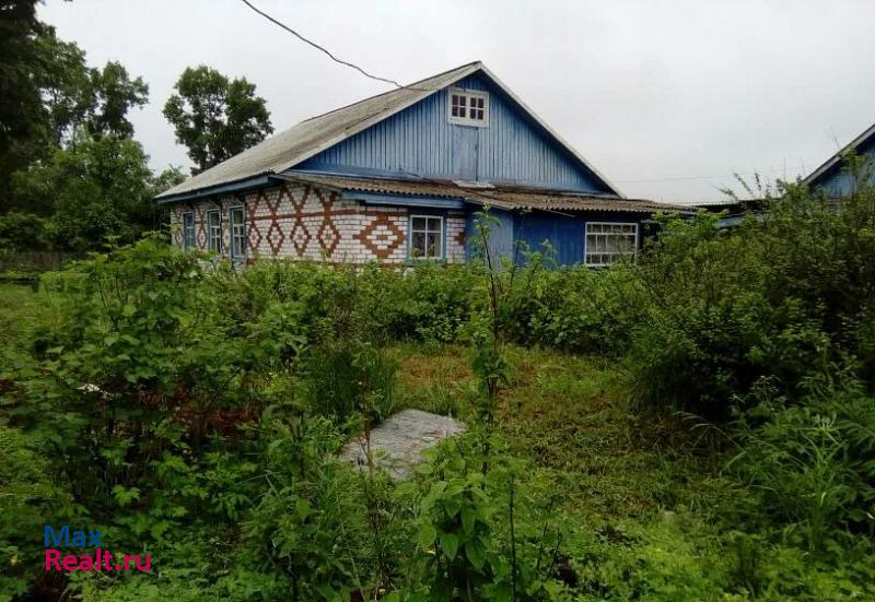 купить частный дом Благовещенск село Нижняя Полтавка, Константиновский район