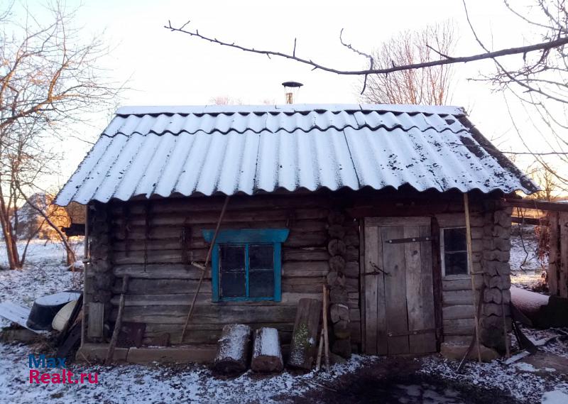 Новоржев деревня Макарихино