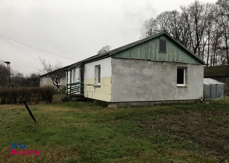 Нестеров Краснознаменский городской округ, посёлок Добровольск, Светлая улица