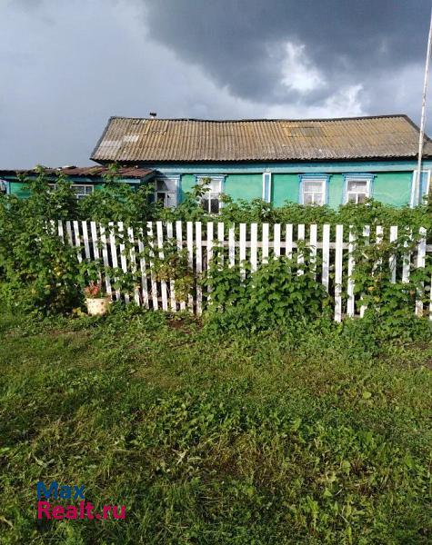 купить частный дом Нижнекамск село Бегишево