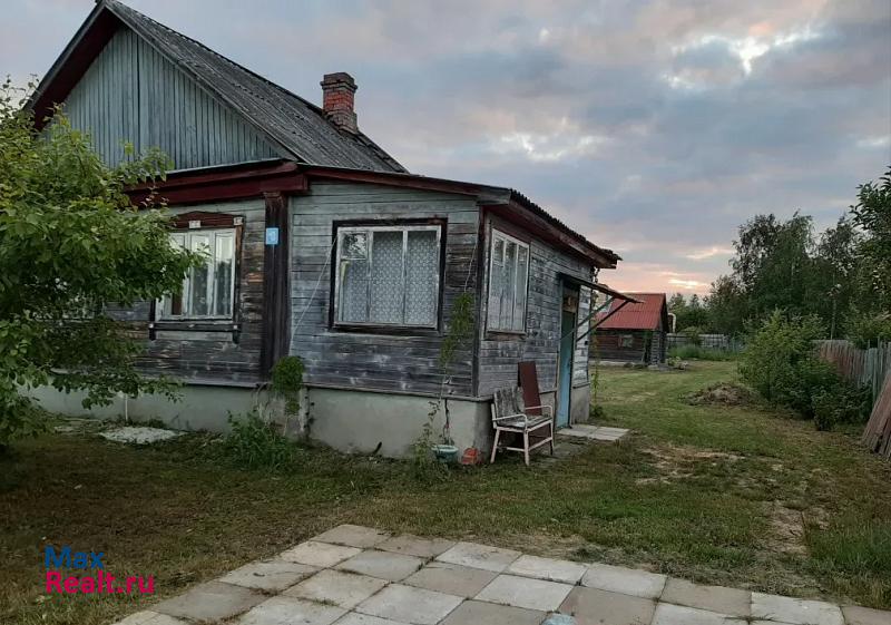 Рошаль рабочий посёлок, городской округ Шатура, Мишеронский