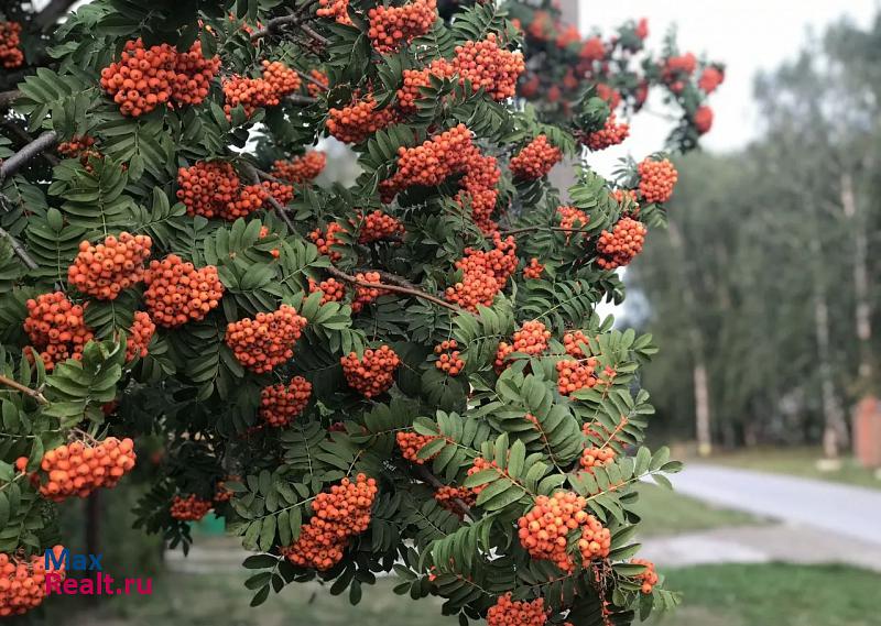 рабочий посёлок Ордынское Ордынское купить квартиру