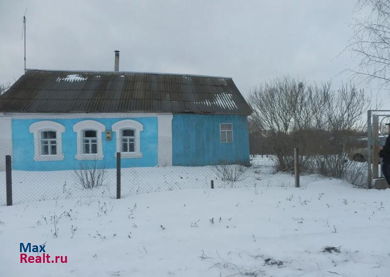 купить частный дом Петровское село Шехмань, ул Пионерская, Петровский район, Тамбовской области