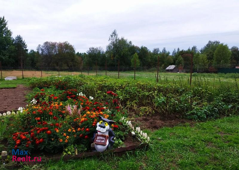 Тихвин Тихвинское городское поселение, деревня Горелуха