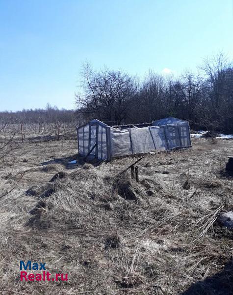 Шимск деревня Обколи