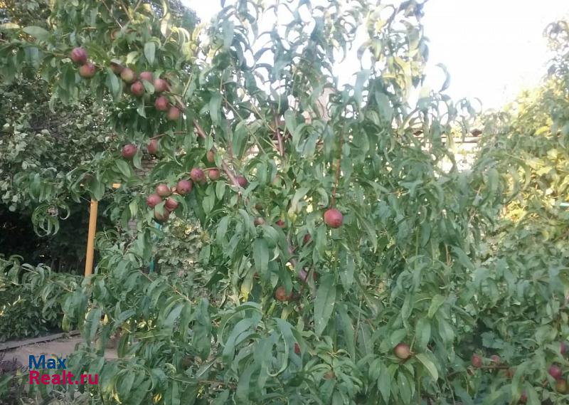 посёлок городского типа Верхний Баскунчак, улица Абая, 1 Верхний Баскунчак квартира