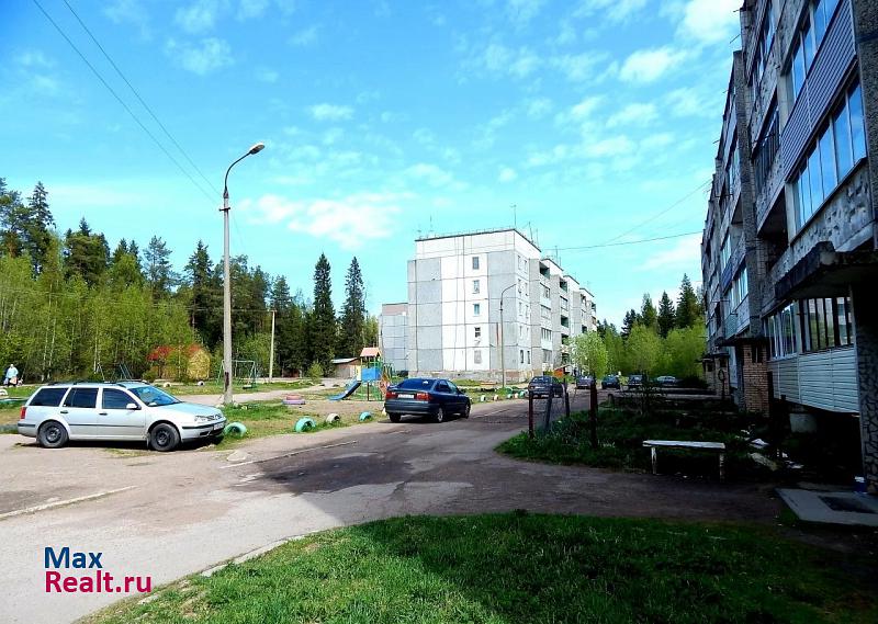 Шокшинское вепсское сельское поселение, посёлок Кварцитный, 21 Петрозаводск квартира