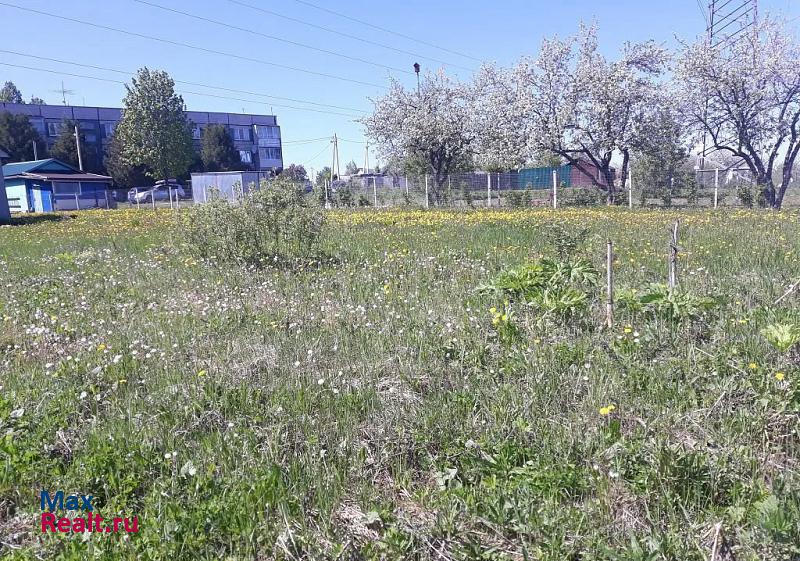 купить частный дом Новопетровское село Никольское