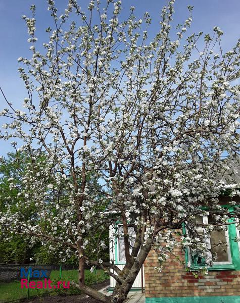 Колышлей село Колтовское частные дома