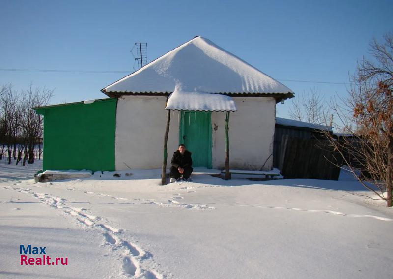 Панино Россия, Панинский район, село Борщево