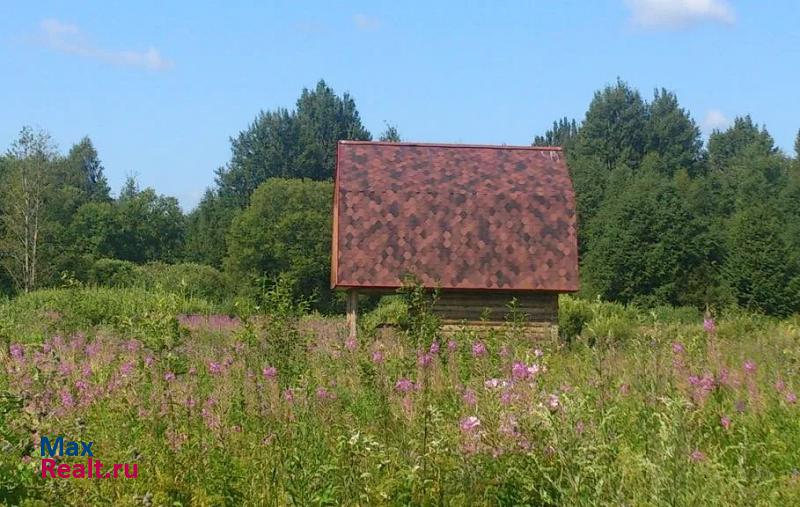 купить частный дом Шимск деревня Вешка