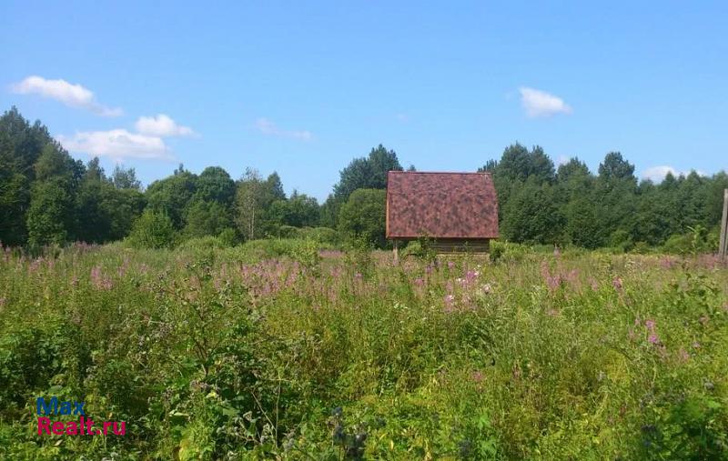 Шимск деревня Вешка