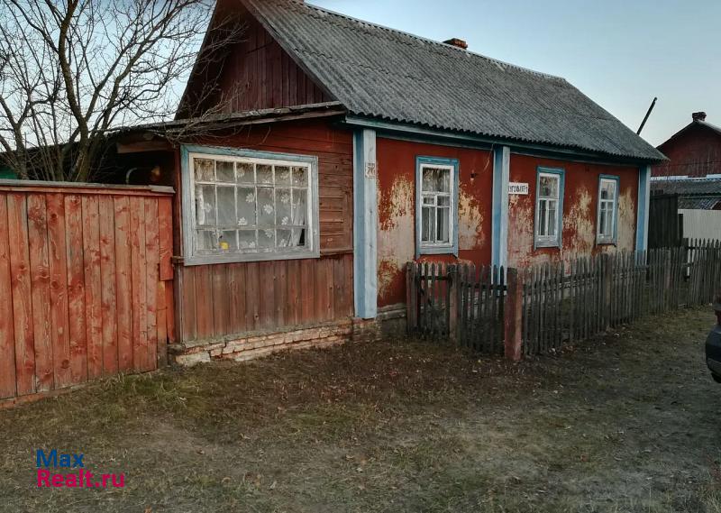 купить частный дом Злынка посёлок городского типа Вышков, Луговая улица