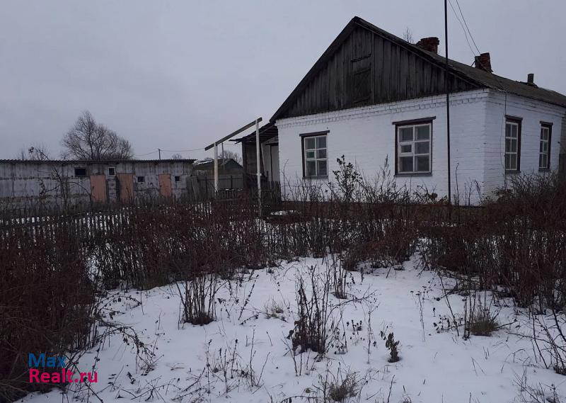 Кургано-Головинский сельсовет, село Марьино-Николаевка, улица Ферма, 38 Тербуны квартира