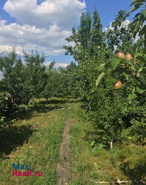 Воронеж село Петино, Хохольский район