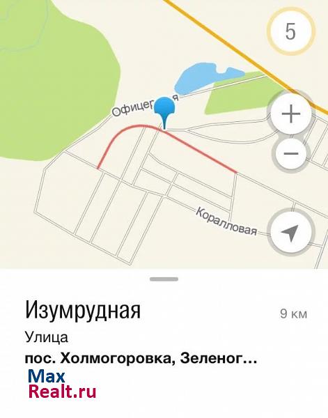 Калининград Зеленоградский городской округ, посёлок Холмогоровка