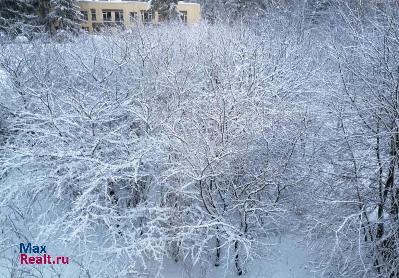 Всеволожское городское поселение, Константиновская улица, 150 Всеволожск сдам квартиру