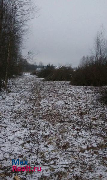 Москва городское поселение Ашукино, деревня Луговая