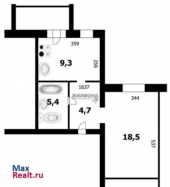 улица Ключ-Камышенское Плато, 14 Новосибирск квартира