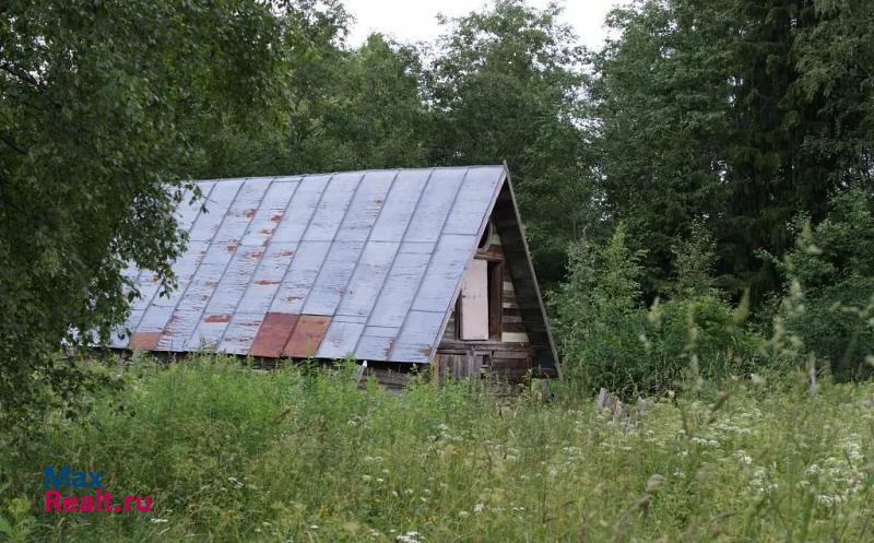 Выборг Выборгский район, Советское городское поселение частные дома