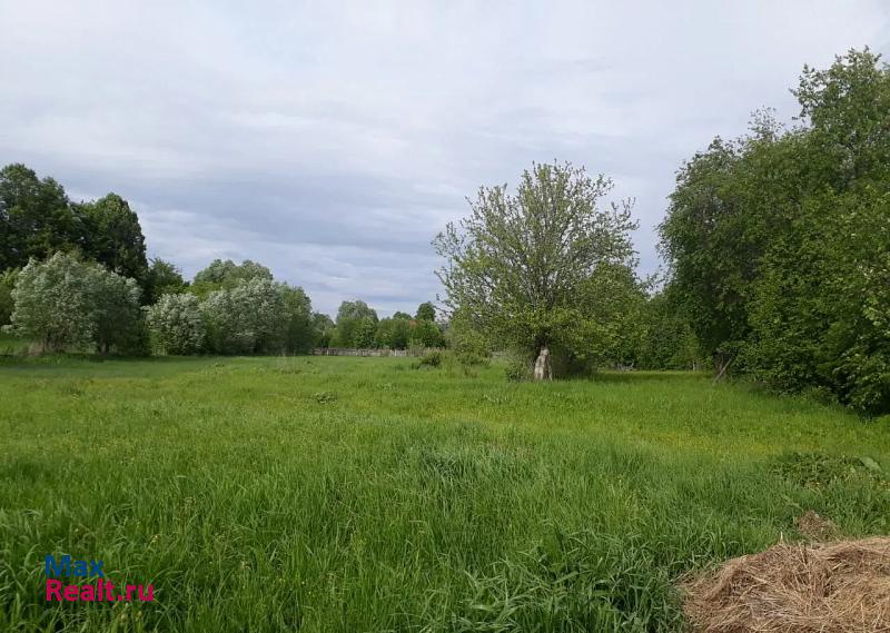 Моргауши Чувашская Республика, Юнгинское сельское поселение, село Юнга частные дома