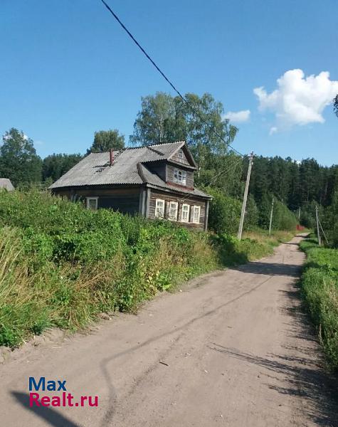 Пикалево Шугозерское сельское поселение, посёлок Шугозеро частные дома