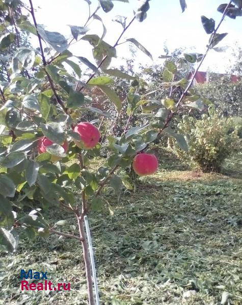 Владимир деревня Новая Быковка, Камешковский район