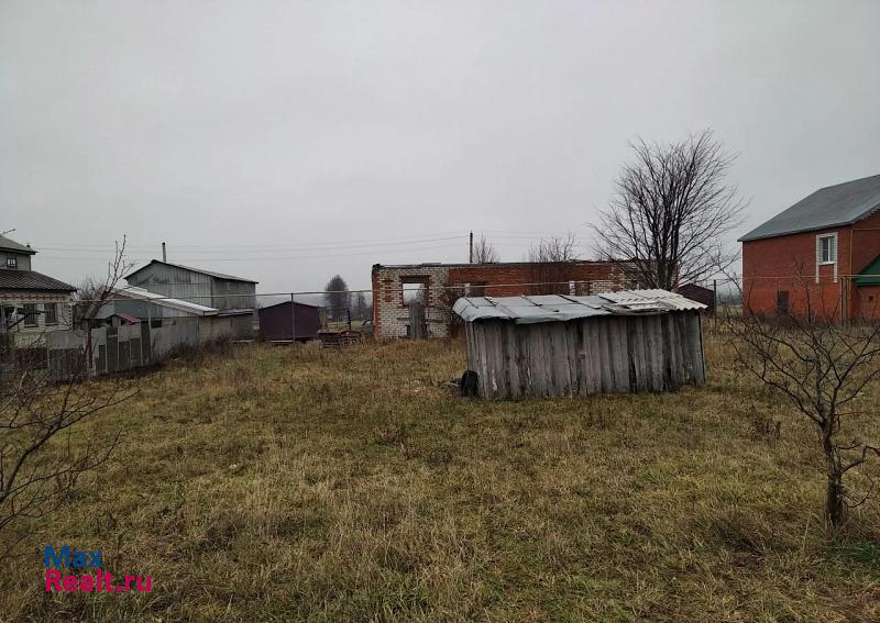 Моргауши Чувашская Республика, Александровское сельское поселение, деревня Васькино частные дома