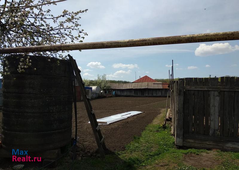 Мучкапский Саратовская область, Романовское муниципальное образование, посёлок городского типа Романовка, улица Калинина, 256 частные дома