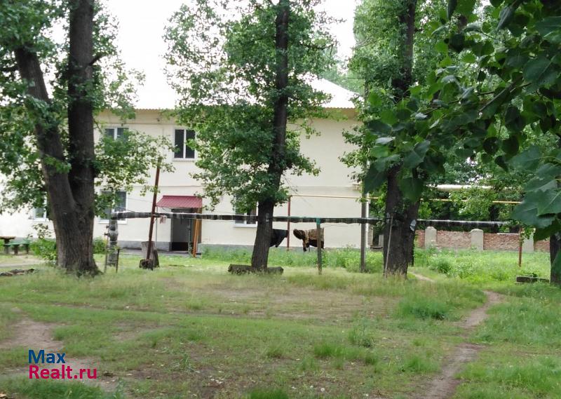 посёлок городского типа Шолоховский Шолоховский купить квартиру