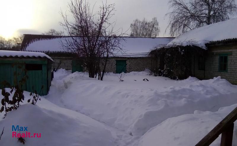 Репьевка село Репьёвка, Механическая улица частные дома